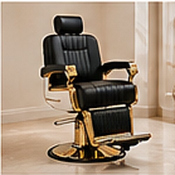 Professional barber chair